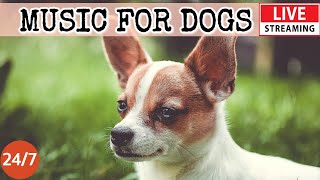 [LIVE] Dog Music🎵Calming Music for Dog Deep Sleep🐶🎵Separation Anxiety Music for Dog Relaxation🐶🔴5