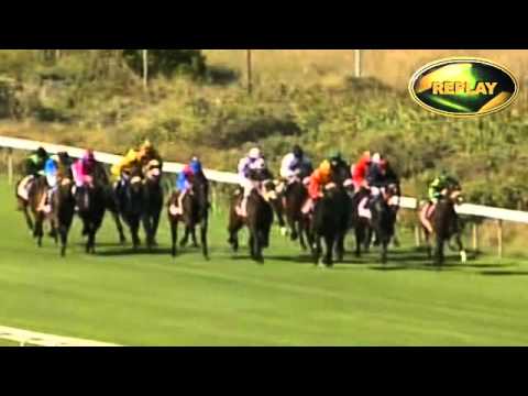 BLOODSTOCK SA CAPE GUINEAS GR1 2010