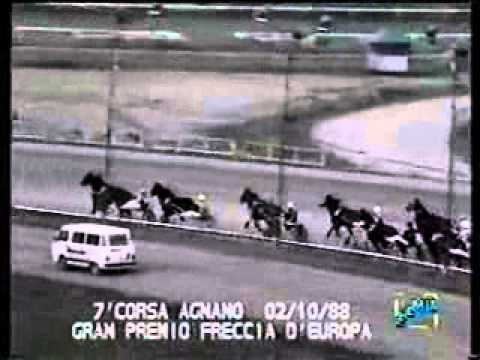 Premio Freccia d'Europa 1988 -Esotico Prad