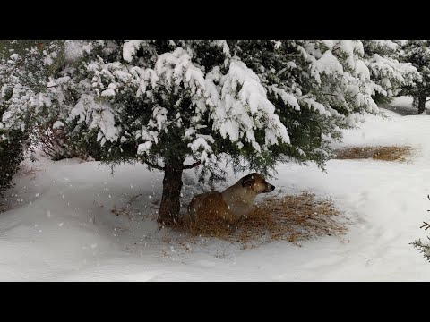 Walking on the endless white carpet