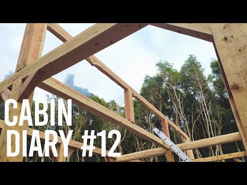 Off Grid Cabin #12 | My Biggest Challenge, Building the Roof (Part 1)
