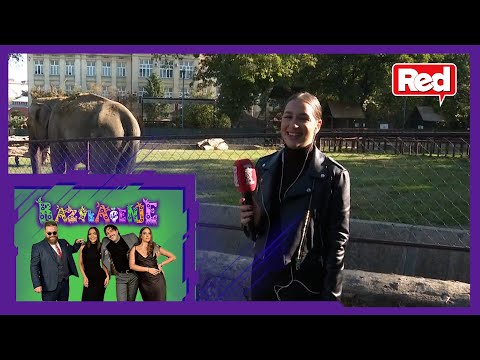 Mila Uključenja - Razvlačenje - 04.10.2021 - Red TV