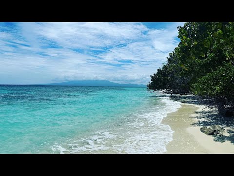 Exploring Gizo, Solomon Islands 🇸🇧🏝️ Fatboys Island