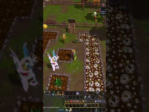 How do you plant non tree seeds? RuneScape Tips and Tricks #72