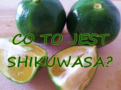 Maska cebula olej łopianu na wypadanie włosów Maska Ducret włosów