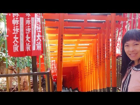 Hie Jinja 3/3/16, Tameike Sannō Tōkyō [Sanctuaire japonais] [Printemps, Hanami, Floraison pruniers] Video
