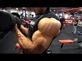 GROW the REAR DELTS/BACK/BICEPS - HIGH Volume