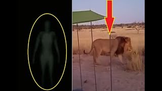 Top 5 Scariest Camping Encounters Caught on Tape Top 5 Scariest Camping Encounters Caught on Tape