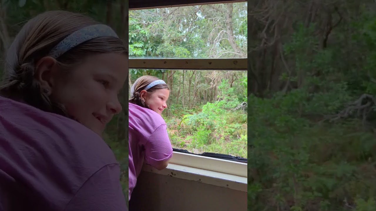 YouTube Short thumbnail