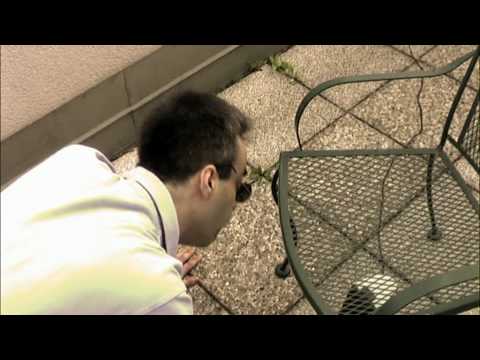 Nanocubes - Pharaoh (Fan Video By Lizard)