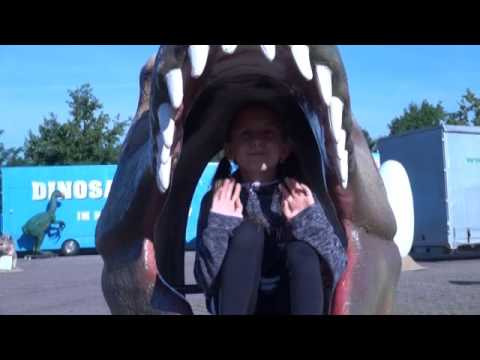 Dinos in Hoyerswerda - ELSTERWELLE