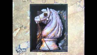 The Cult   Go West Crazy Spinning Circles