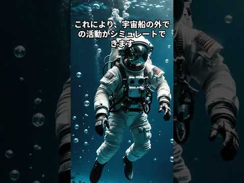 NASA:宇宙船に隠された秘密メッセージ
