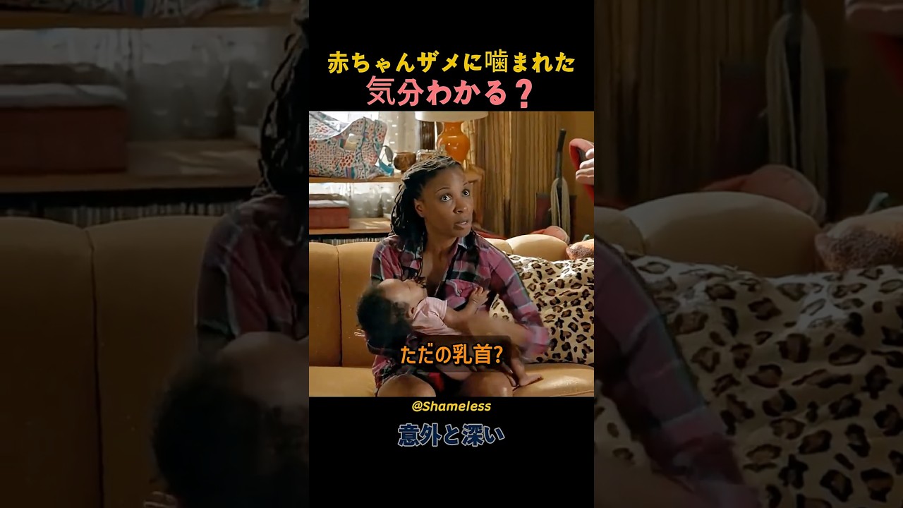 赤ちゃんザメに噛まれた気分わかる？