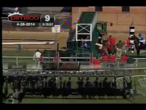 Pimlico 04/26/14 race 9