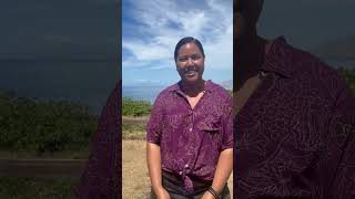 Maui, Hawaii (APMF)