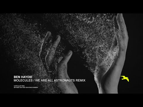 BEN HAYDIE Molecules (We Are All Astronauts Remix)
