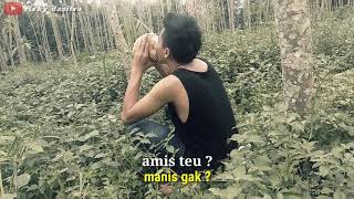 Download lagu STORY WA ORANG SUNDA || kalah manis nya, dari janji janji mantan👏 mp3 Download lagu STORY WA ORANG SUNDA || kalah manis nya, dari janji janji mantan👏 mp3