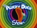 The Plucky Duck Show Spanish Intro Español Latino