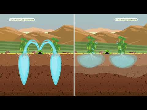 Company History - A Star is born