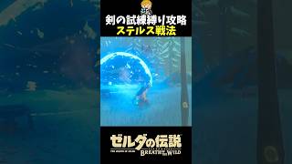 敵に気付かれることなくボコブリンを全滅させる方法 (剣の試練 地下13階) 　#shorts  #ゼルダの伝説ブレスオブザワイルド  #ブレワイ