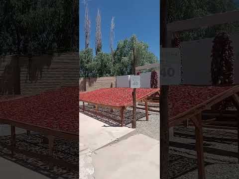 Cachi, Salta. 30 Nov 2025