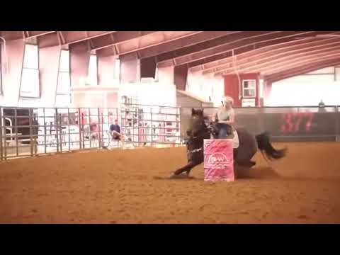 377 Arena, Stephenville Tx Arena Record - BryAnna Haluptzok 16.998 Cat Mai Flash 9/8/24