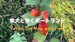 【Hana369】ポートランドで紅葉狩り