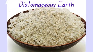 Bed Bugs No More | Apply Diatomaceous Earth for Killing Bed Bugs