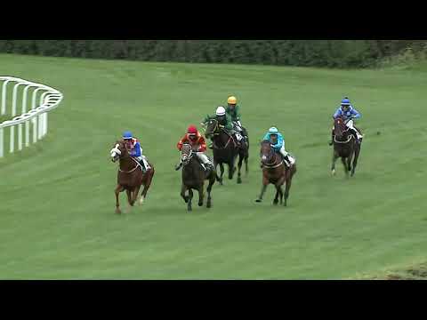 2023.09.24. 2. Futam - NYERETLEN KÉTÉVESEK VERSENYE (IV.kat.) I. rész