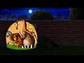 Madagascar 2005 Trailers TV Spots