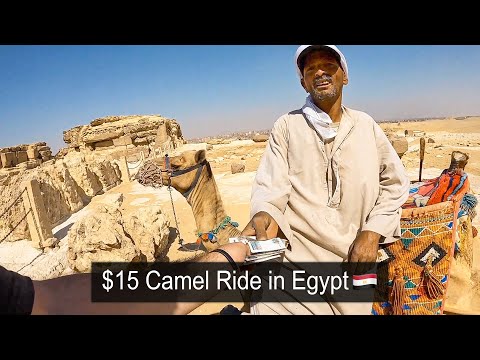 $15 Camel Ride in Egypt 🇪🇬