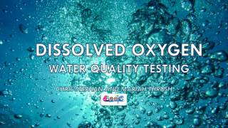Dissolved Oxygen: Water Quality Testing
