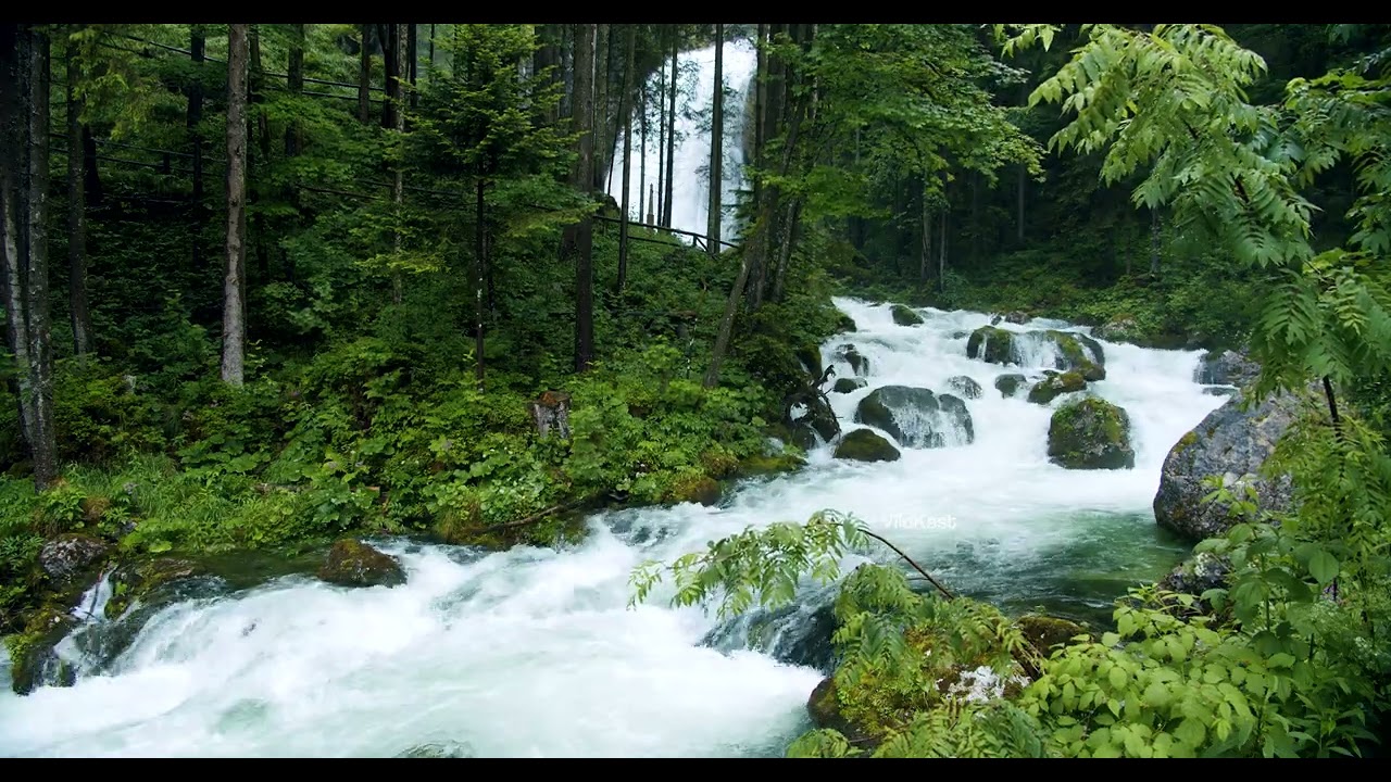Alpine Waterfall Ecology: Hydrology and Riparian Habitat