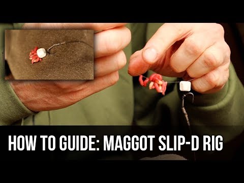 How To Guide: Maggot Slip-D Rig