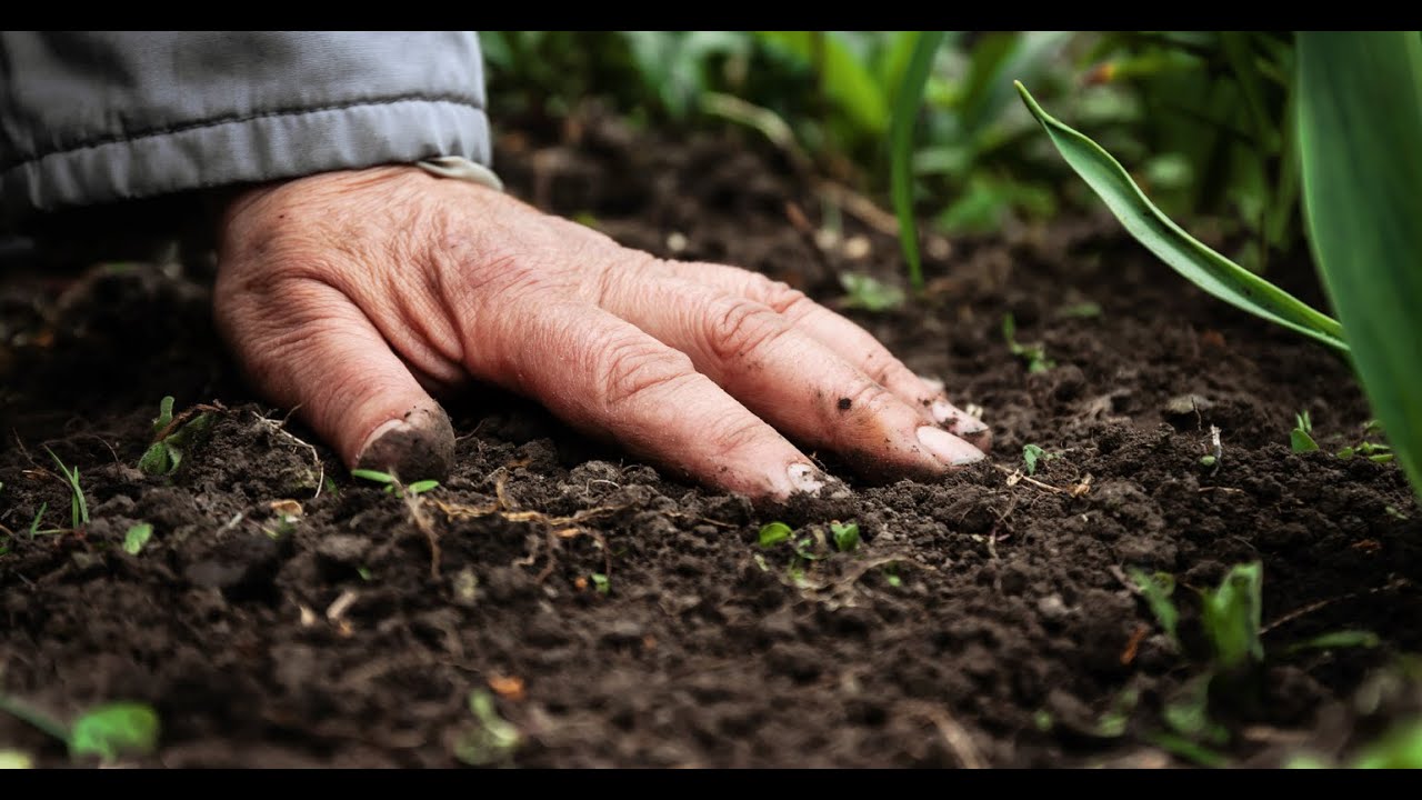 Analysis of Piles and Piers Foundation Subjected to Lateral Load in Seismic and Static Condition