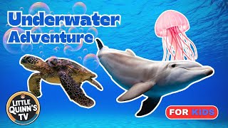 Underwater Adventure: Exploring the Sea | Fun Ocean Animals for Kids core word WHAT gameplay video by trhof, 4:45 duration