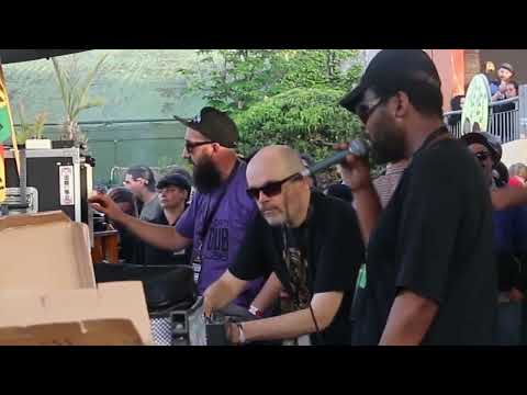 VIBRONICS ft. ECHO RANKS on WATTS ATTACK Sound System