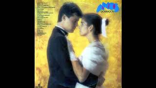 Anos Dourados - Tom Jobim (Instrumental)