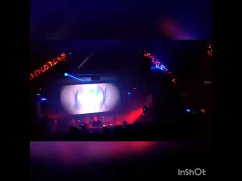 Chicola - Yoav @TheBow