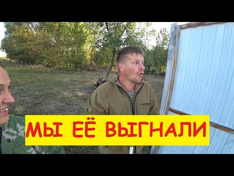 Корова здорова! Первый раз выгоняем в стадо / Семья в деревне / Воронины