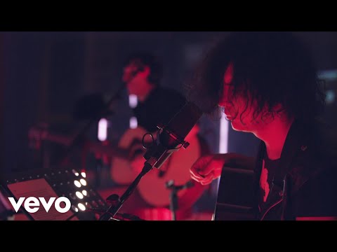 The Zen Circus - Non