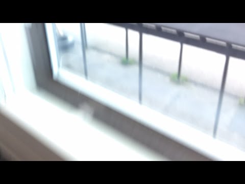 Monnit saapuvat palvelukseen Someroharjulle!