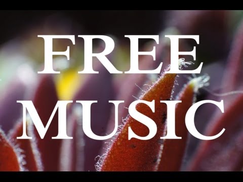 Garden Walk - Jingle Punks [AMBIENT / CALM] free music & no copyright
