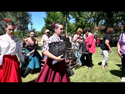 LARREGUI - BODEGA CASTILLO VIEJO - LAS PIEDRAS CANELONES - BLOQUE 4 DOMINGO 15 DE MARZO DE 2026