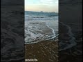 Jis Par Guzri Ho Bas Wahi Janta Hai Aur Ye Dil Tasalli Se Kahan Manta Hai Status Shayari