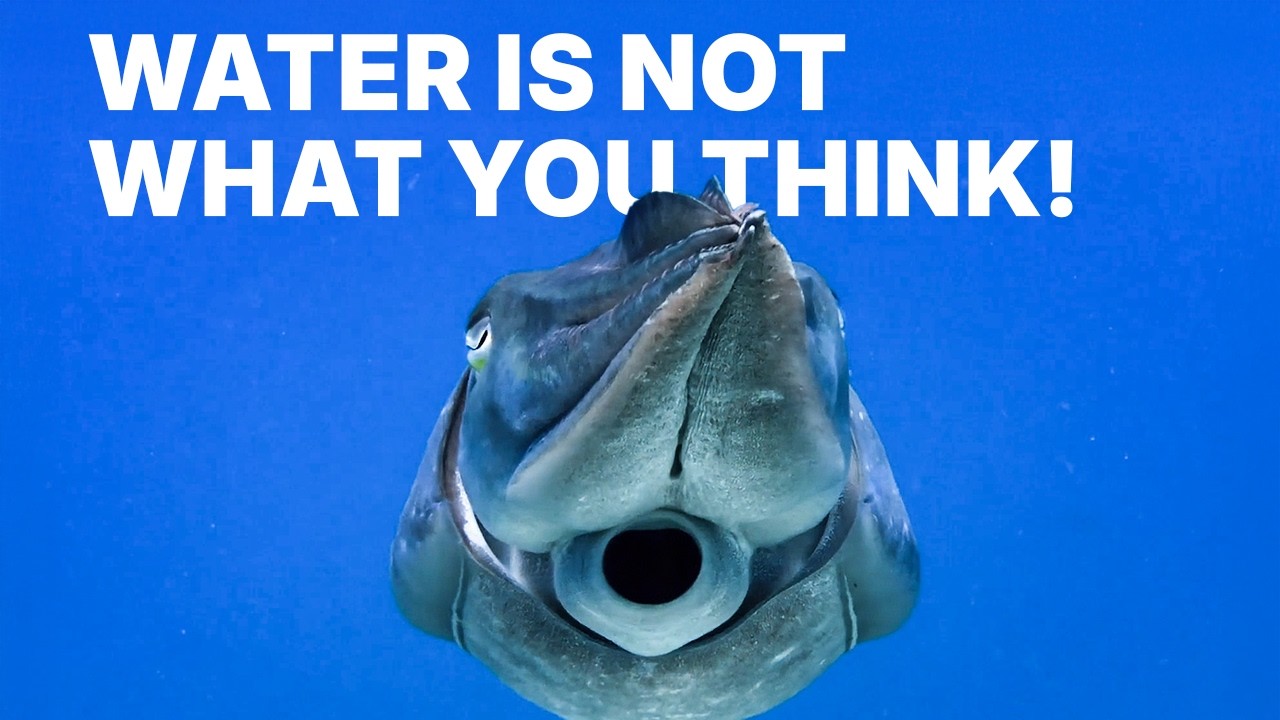 Water: the Strangest Liquid