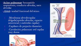 Respiración y Ventilación - Cardiovascular y respiratorio