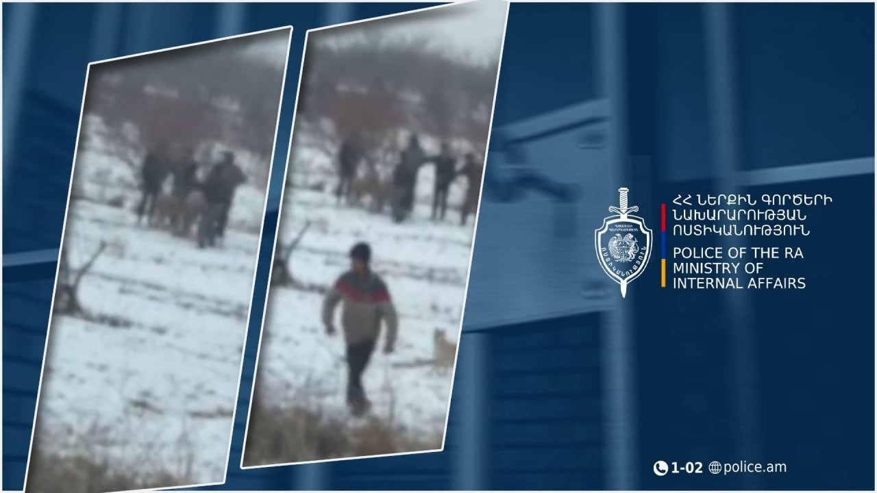 Արտաշատի համայնքային ոստիկանները շնամարտ կազմակերպելու դեպք են բացահայտել