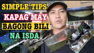 SIMPLE TIPS KAPAG MAY BAGONG BILI NA ISDA | PAANO ANG DAPAT GAWIN SA BAGONG BILI NA ISDA